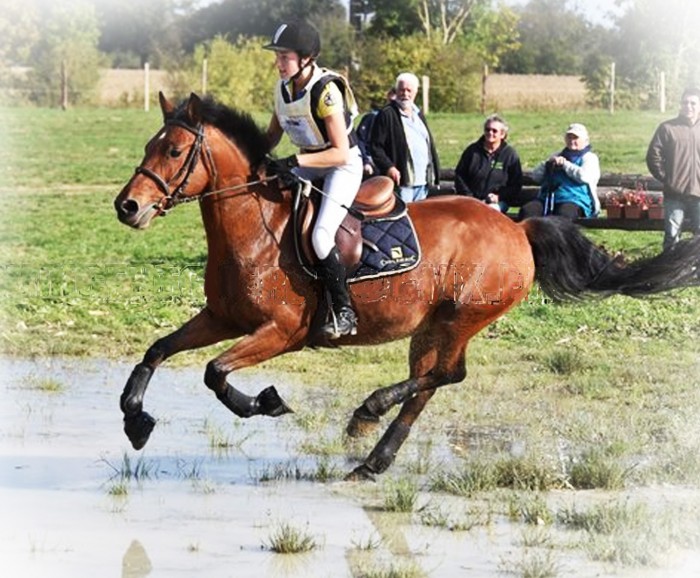 Photo de profil de mgsaintmartin