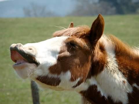 Photo de profil de michelespi