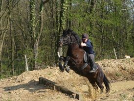 Photo de profil de mick69