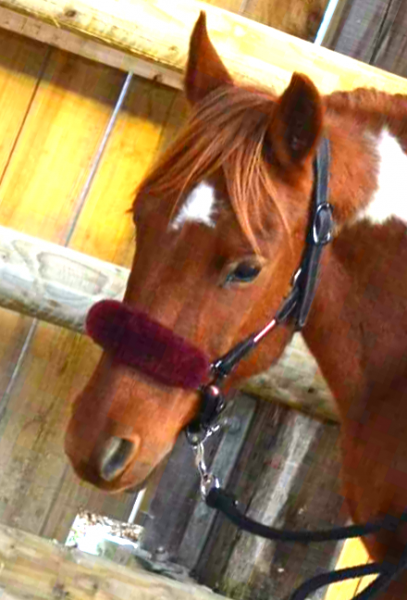 Photo de profil de milie26