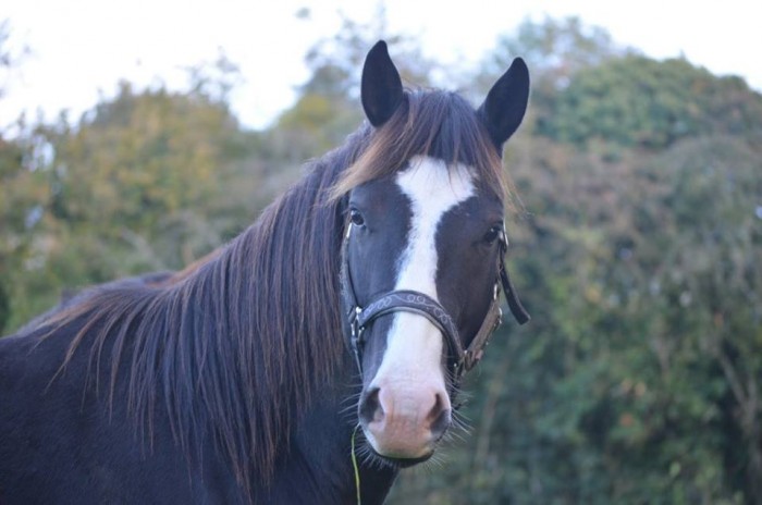 Photo de profil de mimidu63