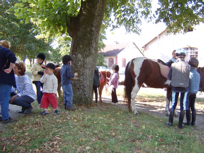 Photo de profil de miss_equit