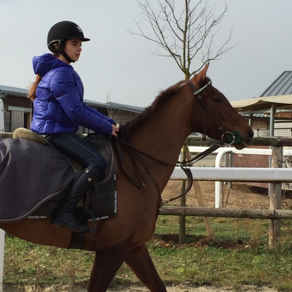 Photo de profil de m.juteau