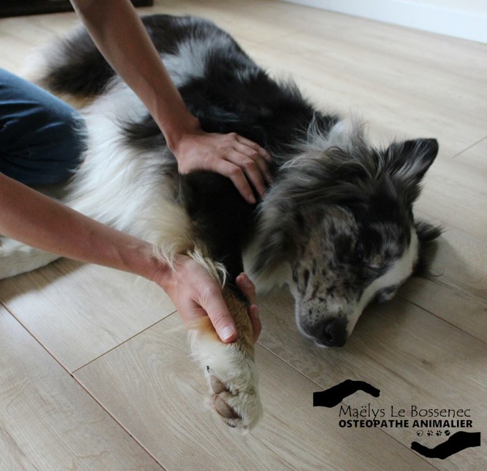 Photo de profil de mlb.osteo