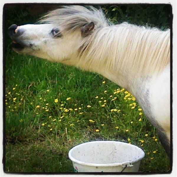 Photo de profil de mllfeefee