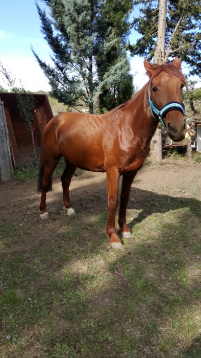 Photo de profil de moi34730