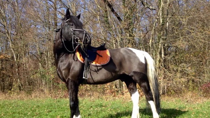 Photo de profil de moimyriam