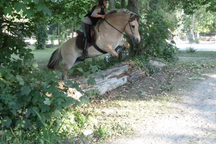 Photo de profil de moizan_nolwenn