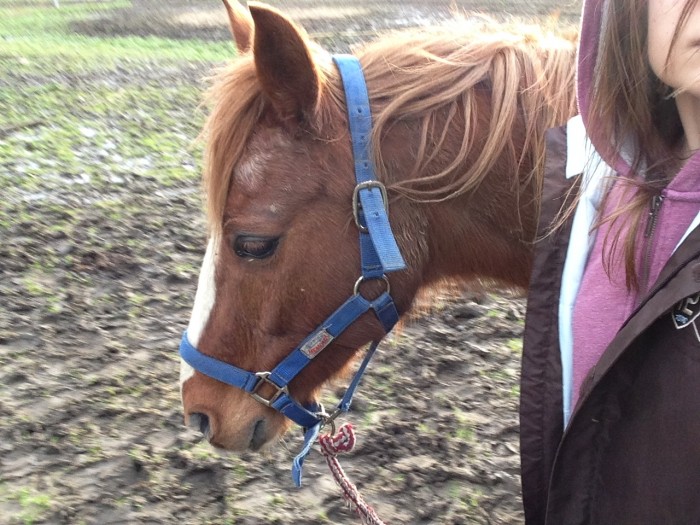 Photo de profil de monpxneyalezan