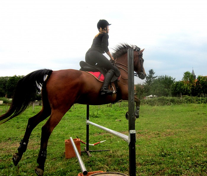 Photo de profil de morgane_22