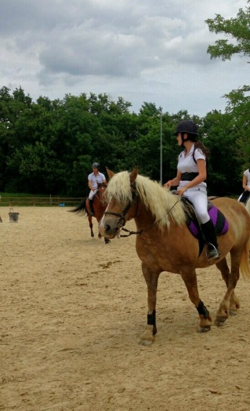 Photo de profil de morgane.cecc