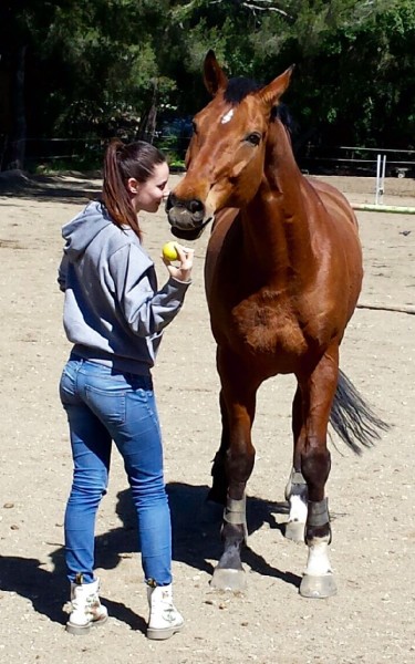 Photo de profil de morgane_nyb