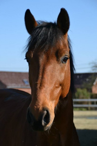 Photo de profil de morgane.tis