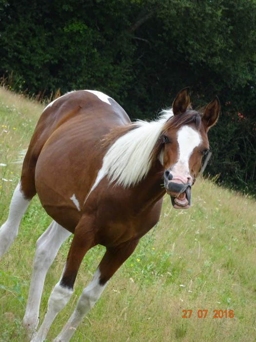 Photo de profil de murielpsychomot