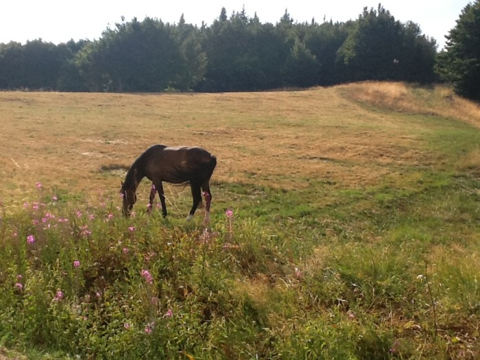 Photo de profil de mymyunefanadada