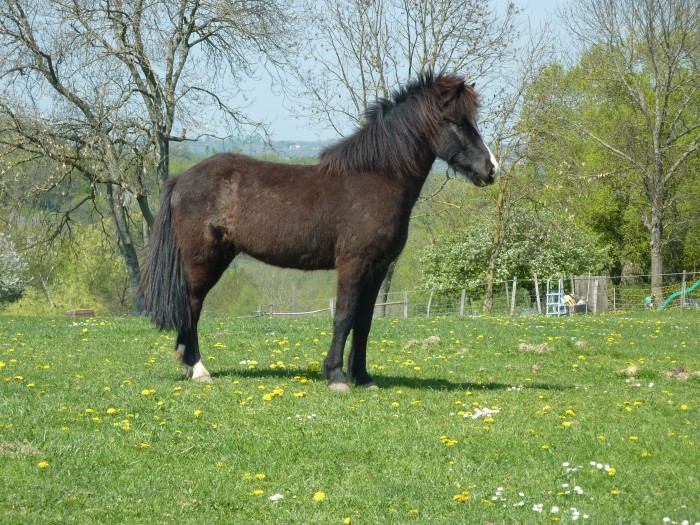 Photo de profil de mystflo