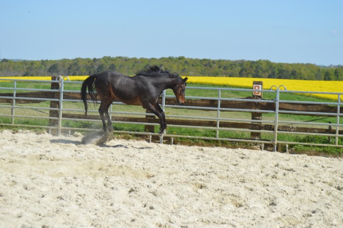 Photo de profil de nadzoe