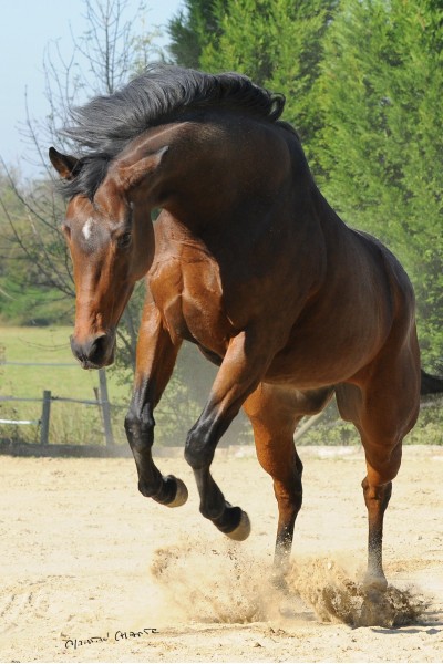 Photo de profil de nakeny