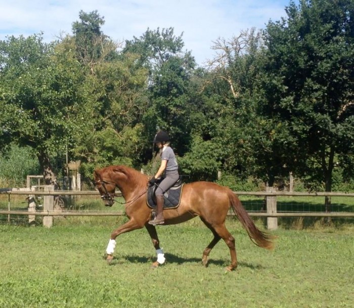 Photo de profil de nakisson