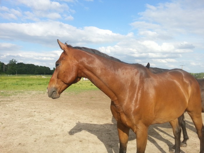Photo de profil de nana49140