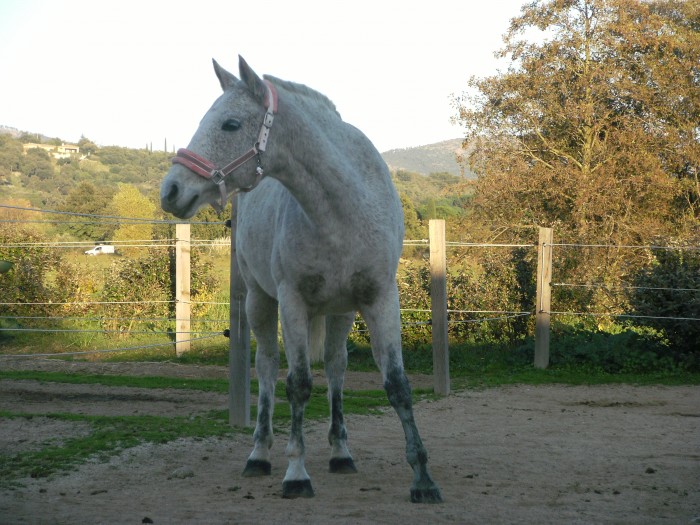Photo de profil de nanou83quitty