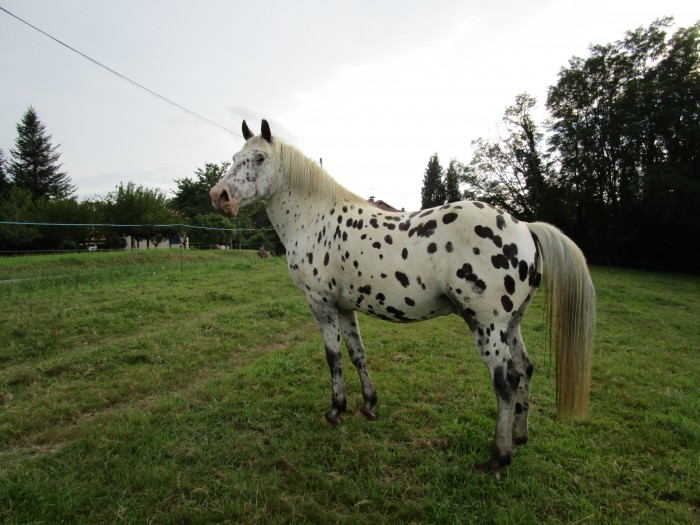 Photo de profil de nathalie40