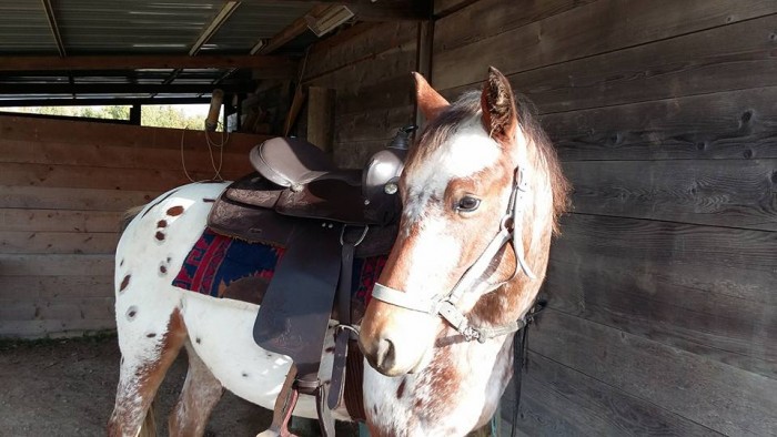 Photo de profil de nathan0308