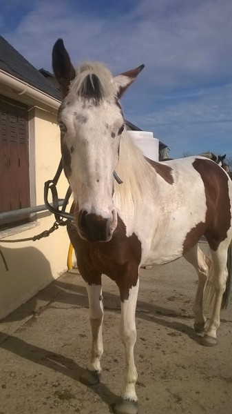 Photo de profil de natka