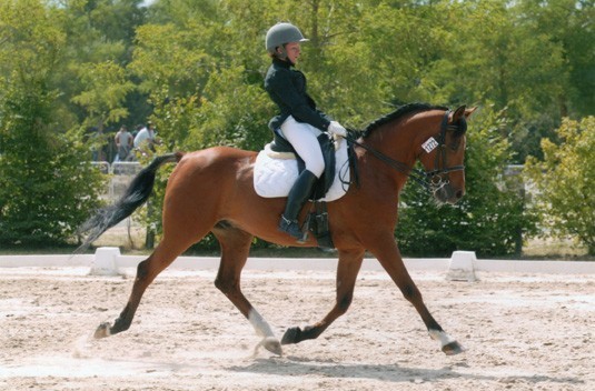 Photo de profil de nedji31