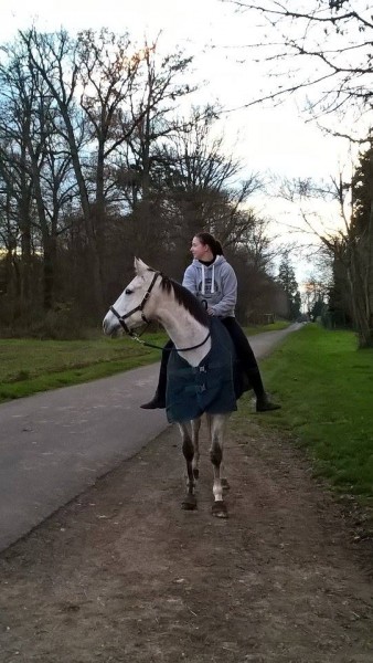 Photo de profil de neigeetem