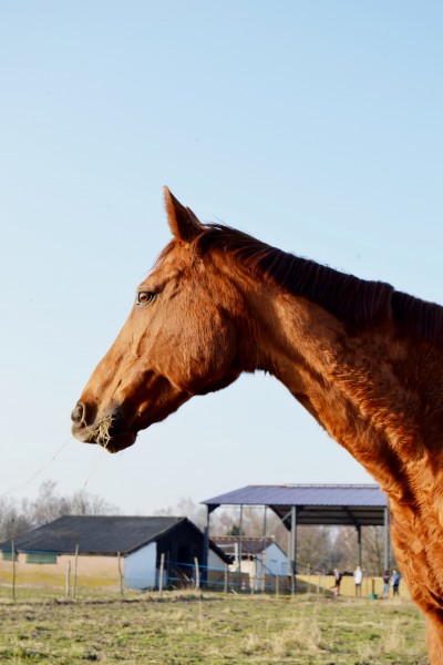 Photo de profil de nelly67