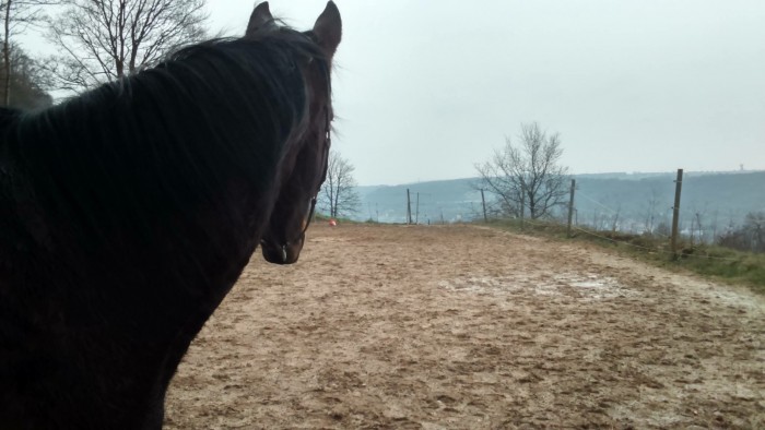 Photo de profil de neos