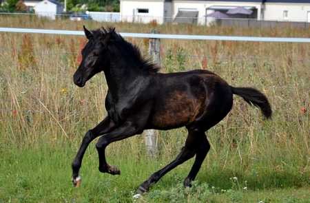 Photo de profil de neptune37