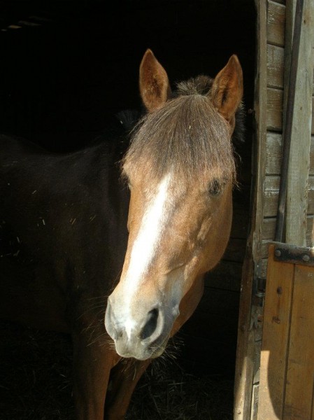 Photo de profil de niasogi