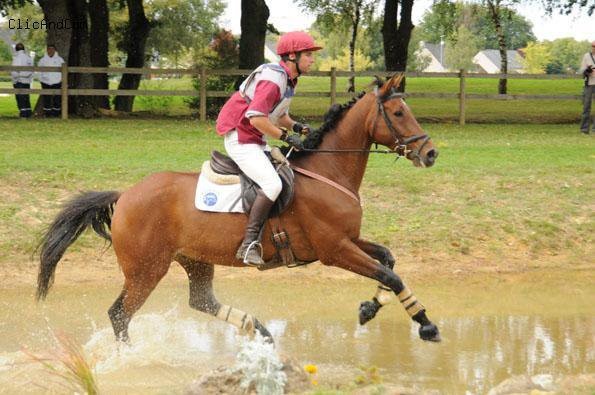 Photo de profil de nico41