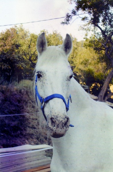 Photo de profil de nigna