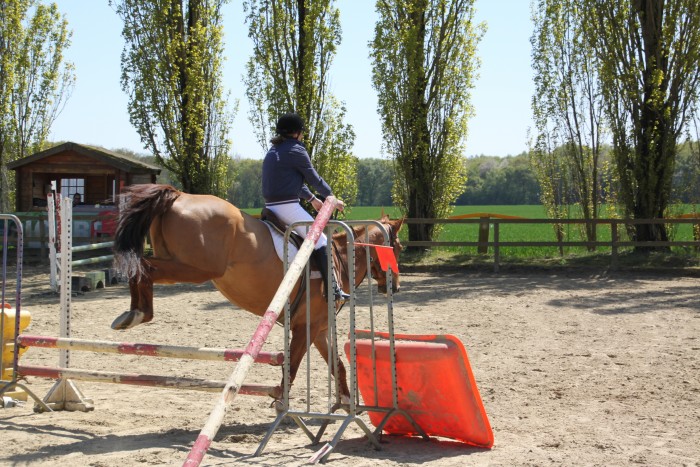 Photo de profil de nikita60