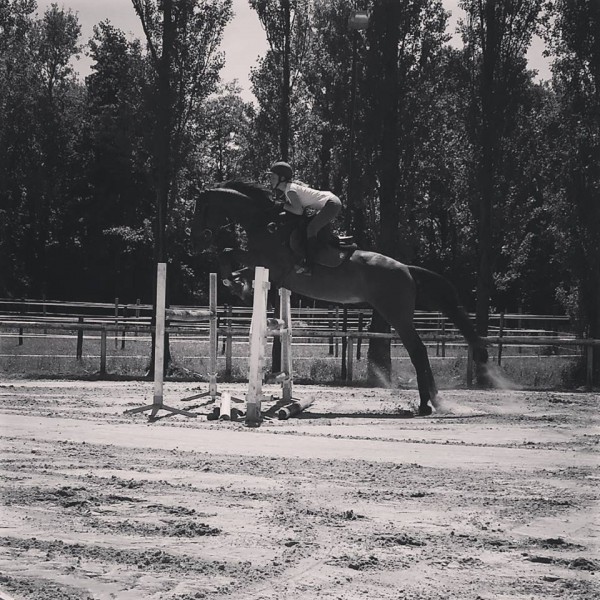 Photo de profil de noe01