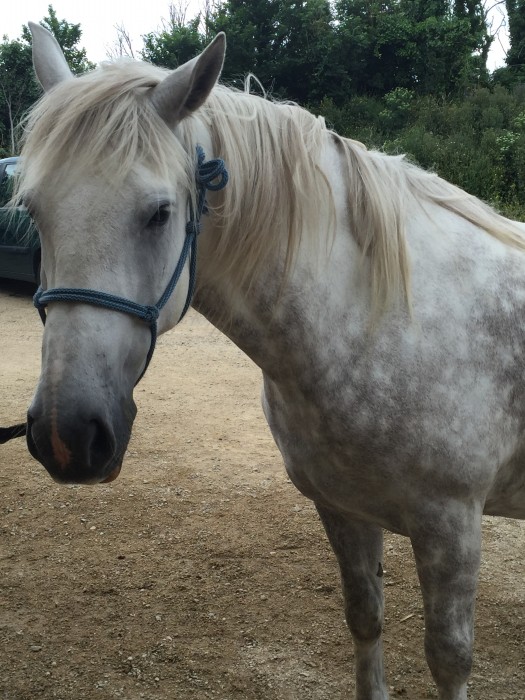 Photo de profil de noemielebel