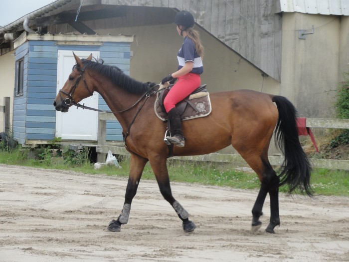 Photo de profil de nolwenncaouissi