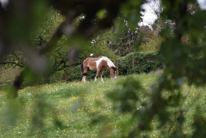 Photo de profil de nounoune18