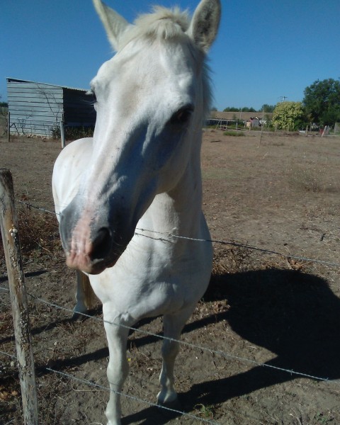 Photo de profil de oce06130