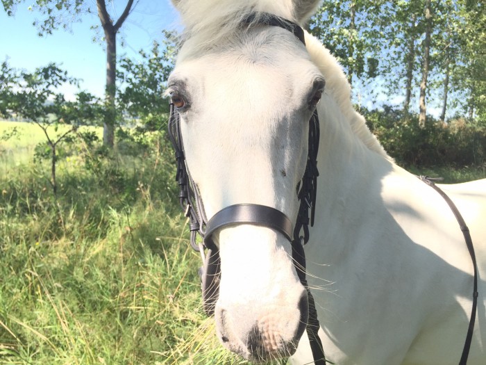 Photo de profil de oce69