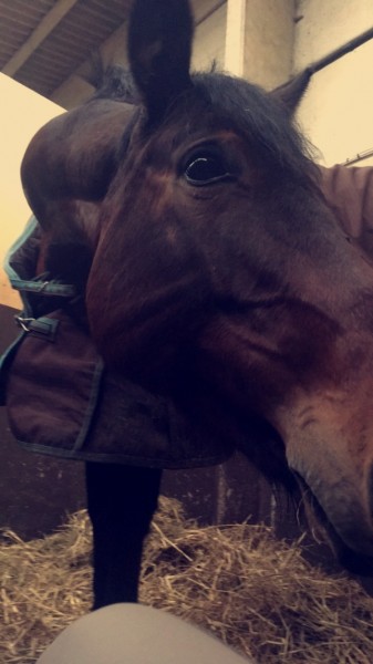 Photo de profil de oceanecavaliere