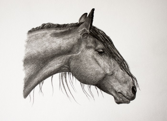 Photo de profil de oceane_dessin