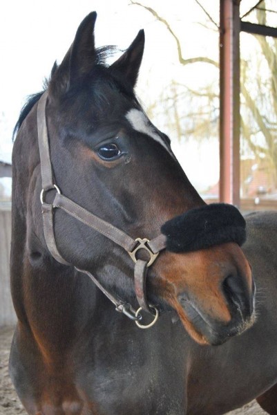 Photo de profil de ocejason