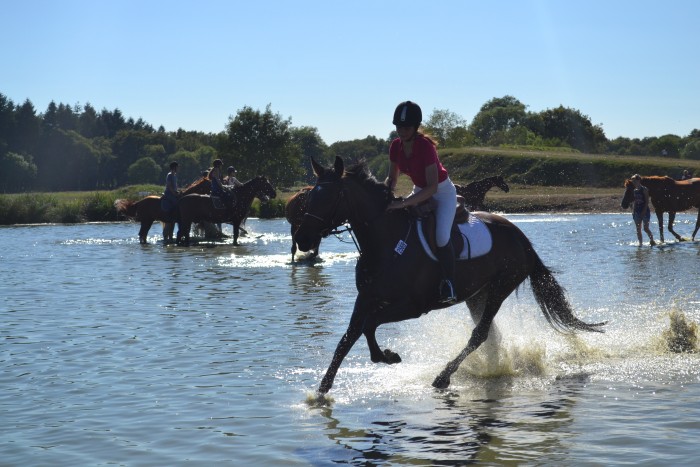 Photo de profil de oderllr