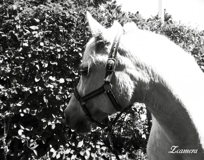 Photo de profil de ondine53