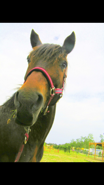 Photo de profil de oneybulle