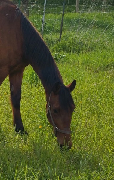 Photo de profil de onourorette